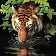 Схема вышивки «Тигр 4»