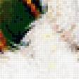 Предпросмотр схемы вышивки «№848911»