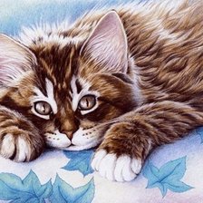 Схема вышивки «Котик»