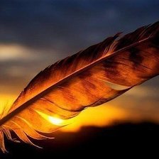 Схема вышивки «перо»