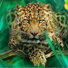 Схема вышивки «Леопард»