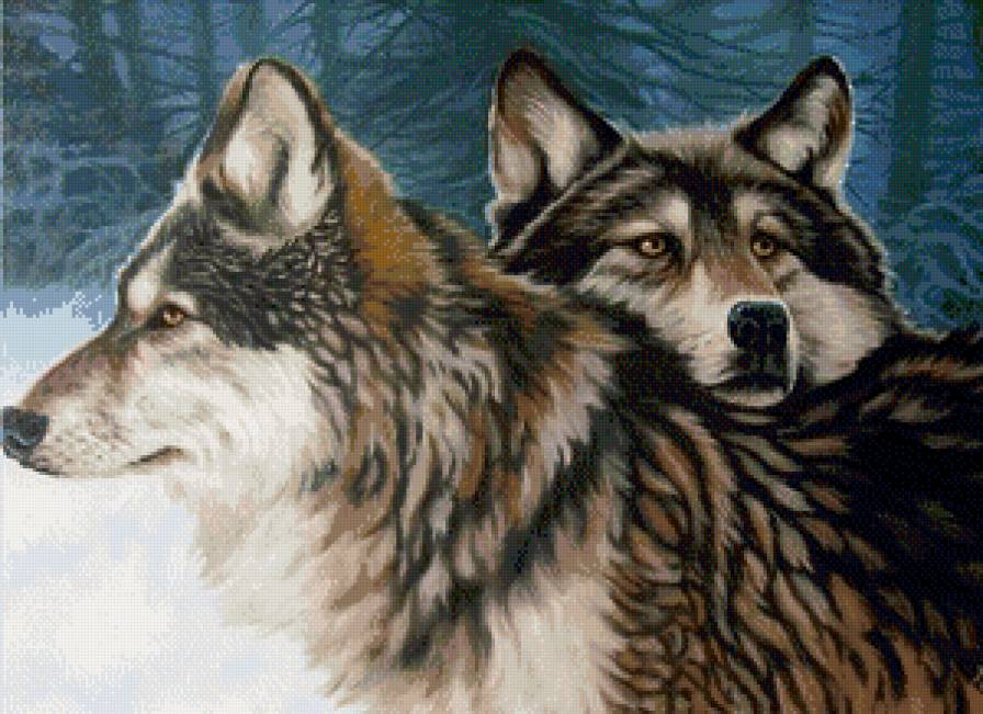 волчья пара - волки, живитные - предпросмотр