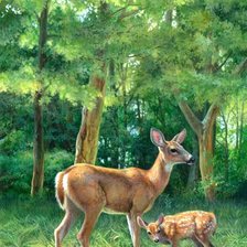 Схема вышивки «Олени»