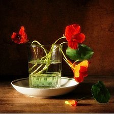 Схема вышивки «настурции в стакане»