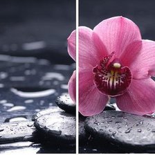 Схема вышивки «диптих»