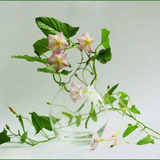 Схема вышивки «вьюнок»