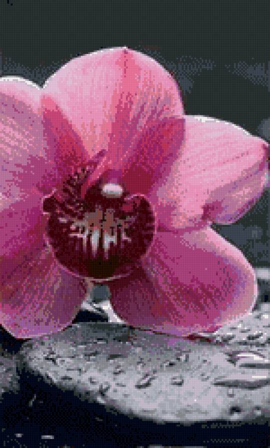 диптих ч2 - предпросмотр