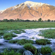 Схема вышивки «№849207»