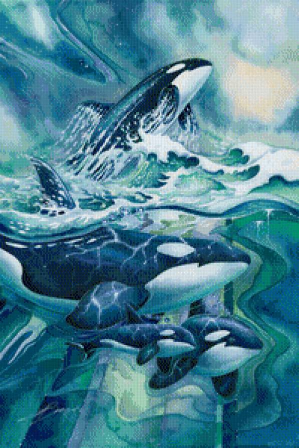 Касатки - морские животные - предпросмотр