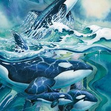 Схема вышивки «Касатки»