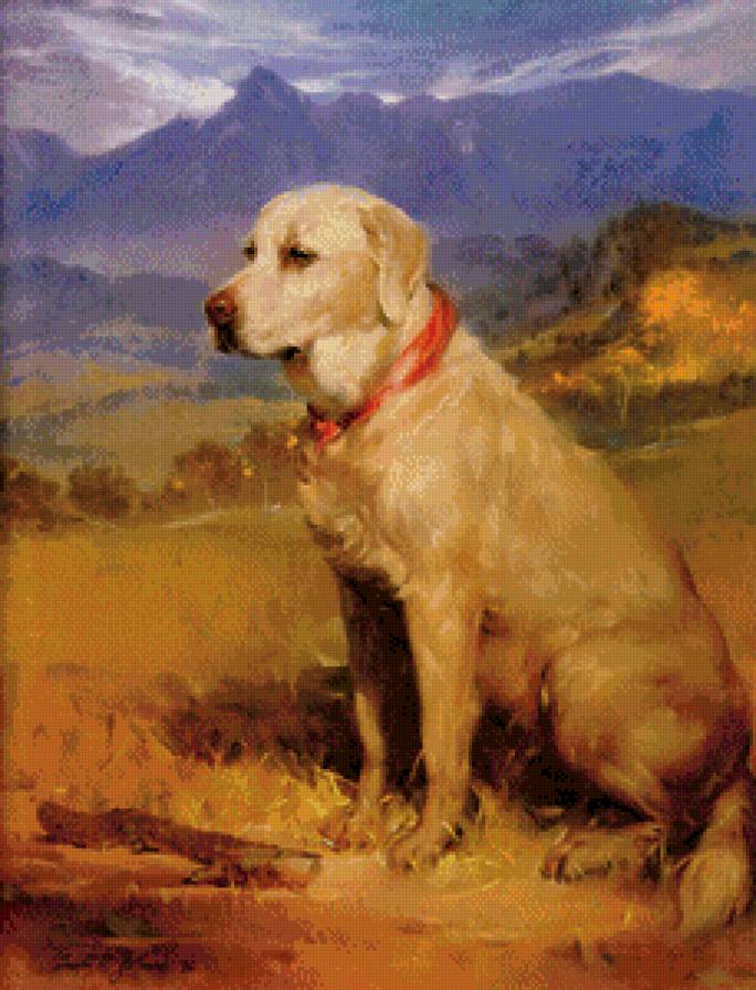 №849438 - собака - предпросмотр