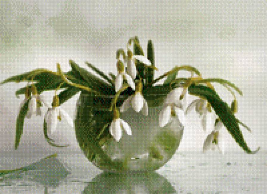 подснежники - предпросмотр