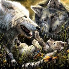 Схема вышивки «Волки»