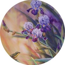 Ирисы и птици