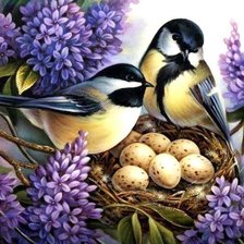 Схема вышивки «синички у гнезда в сирени»