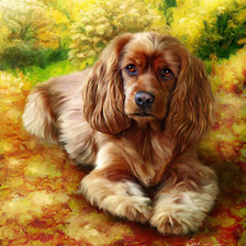 Схема вышивки «№849684»