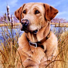 Схема вышивки «№849695»