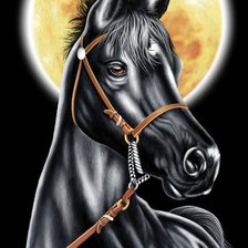 Схема вышивки «№849794»