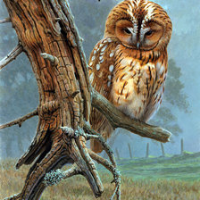 Схема вышивки «№849934»