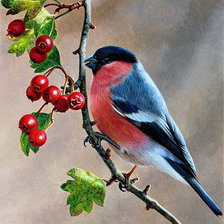 Схема вышивки «№849935»