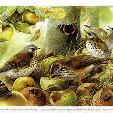 Схема вышивки «№849993»