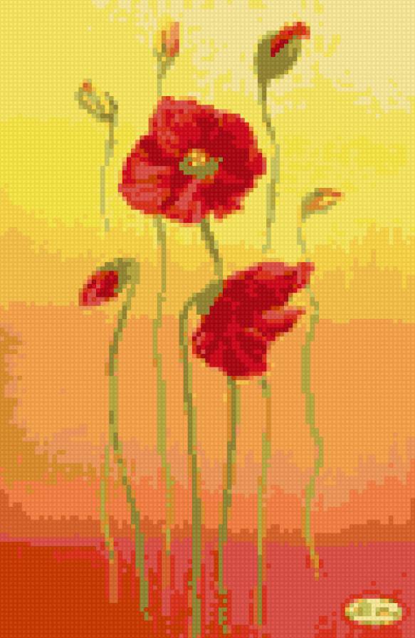 Маки от Тэла Артис - маки .цветы - предпросмотр