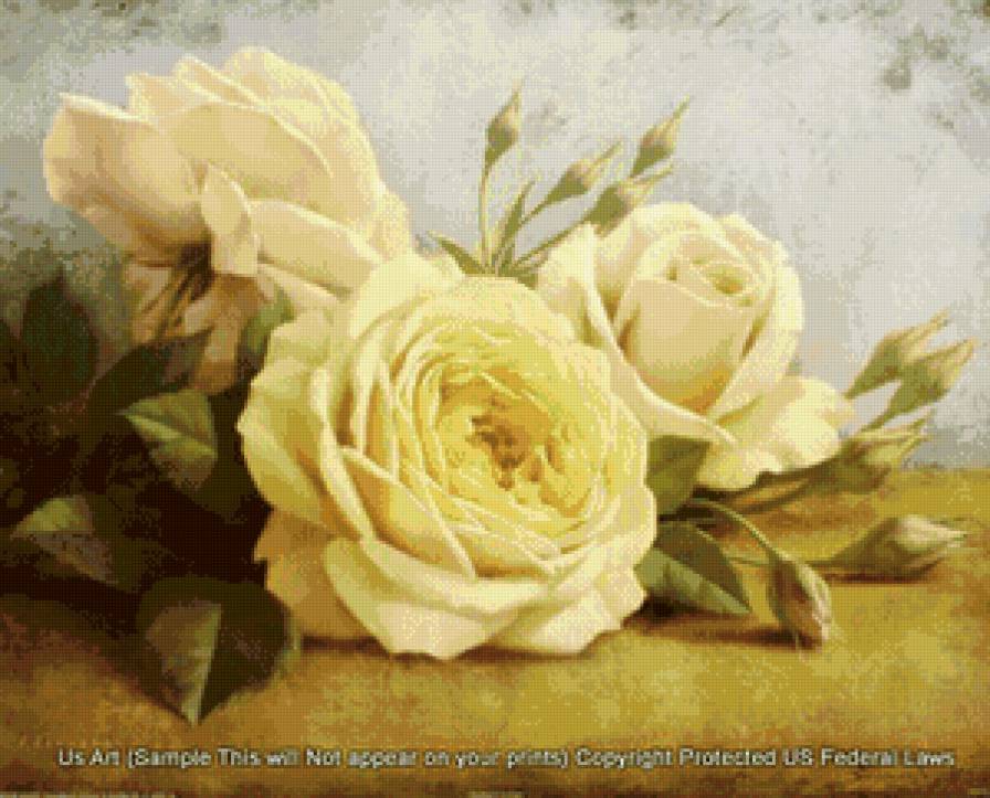 чайные розы - розы, цветы - предпросмотр