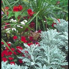 Схема вышивки «Квіти»