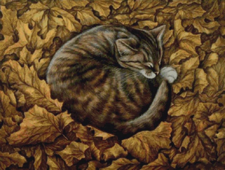 кот в листве - кот, животные, природа - предпросмотр