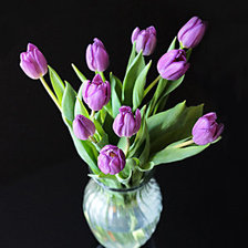 Схема вышивки «тюльпаны»