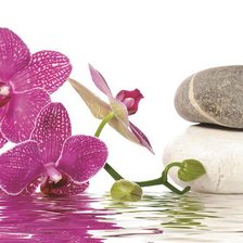 Схема вышивки «№850366»