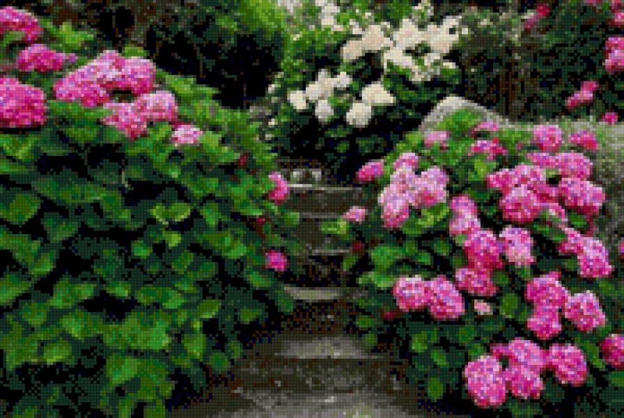 дорожка в саду2 - дорожка, цветы, весна, сад - предпросмотр