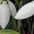 Предпросмотр схемы вышивки «№850397»