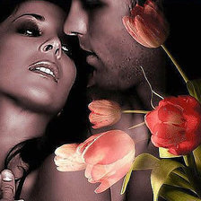 Схема вышивки «Пара»