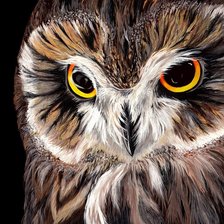 Схема вышивки «Owl»