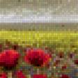 Предпросмотр схемы вышивки «маковое поле» (№851622)