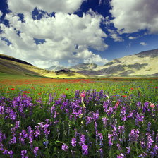 Схема вышивки «сиреневые цветы, горы»