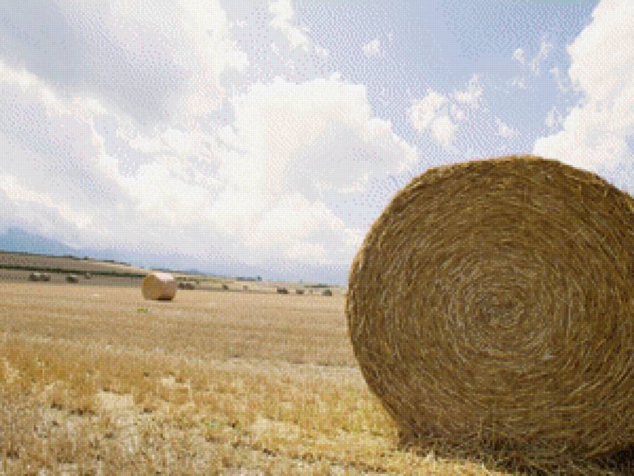 валы сена - осень, поле, природа, лето - предпросмотр