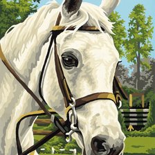 Схема вышивки «№851689»