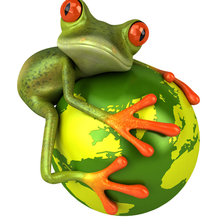 Схема вышивки «лягушка1»