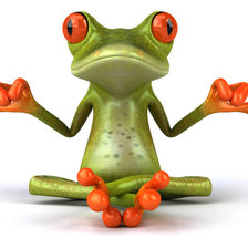 Схема вышивки «лягушка3»