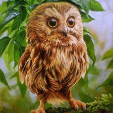 Схема вышивки «сова»