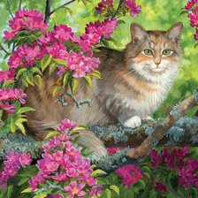 Схема вышивки «на яблоне»