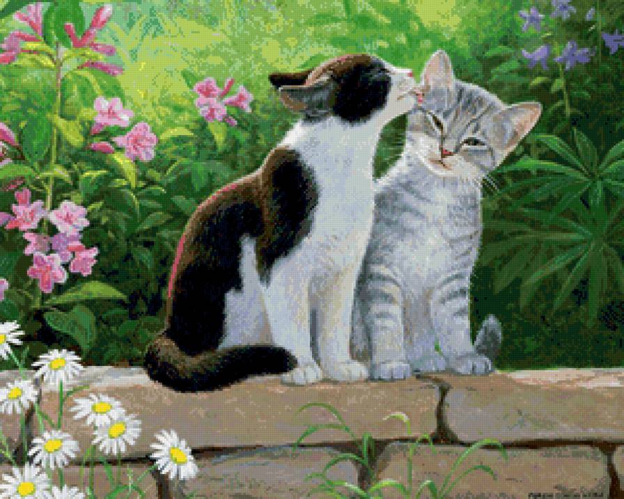забота - цветы, кошки, пара, забота, животные, весна, котята - предпросмотр