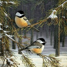 Схема вышивки «№852371»