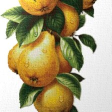 Схема вышивки «груши»