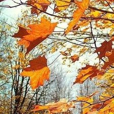 Схема вышивки «Осень»