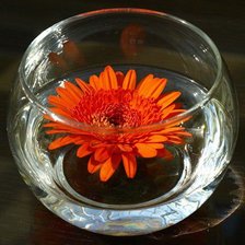 Схема вышивки «№852640»