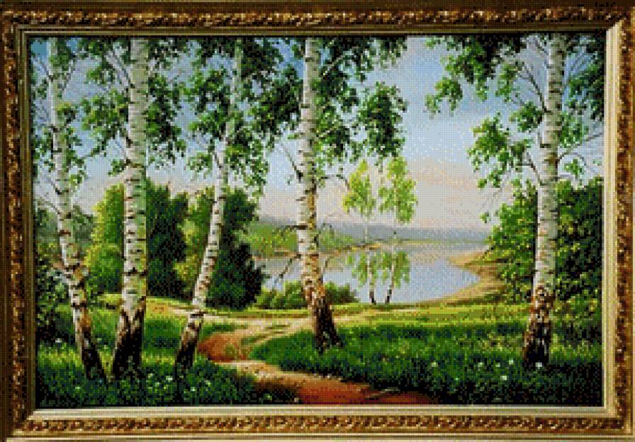 березы, лето, пейзаж - лето, березы, солнце - предпросмотр