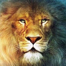 Схема вышивки «Лев»